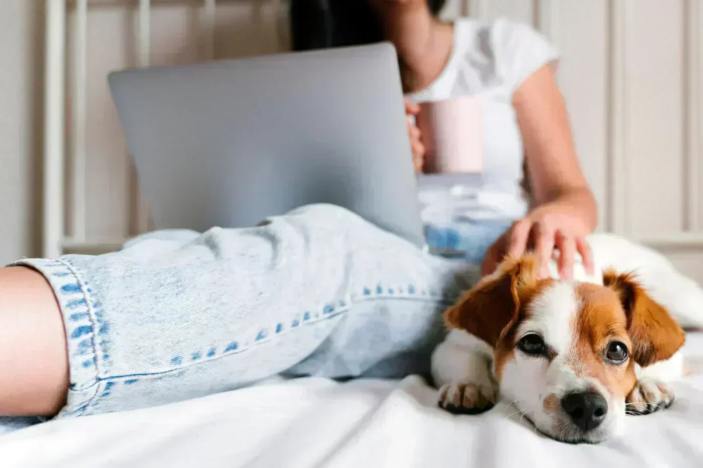 woman creating a microlearning mini-course in one weekend